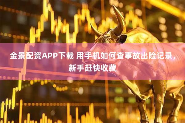金景配资APP下载 用手机如何查事故出险记录，新手赶快收藏
