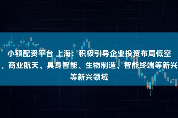 小额配资平台 上海：积极引导企业投资布局低空经济、商业航天、具身智能、生物制造、智能终端等新兴领域