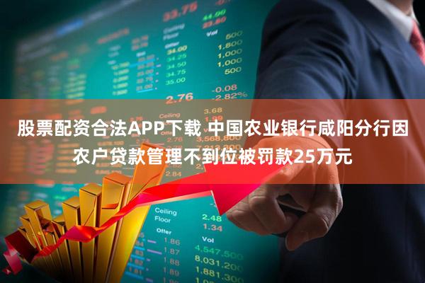 股票配资合法APP下载 中国农业银行咸阳分行因农户贷款管理不到位被罚款25万元