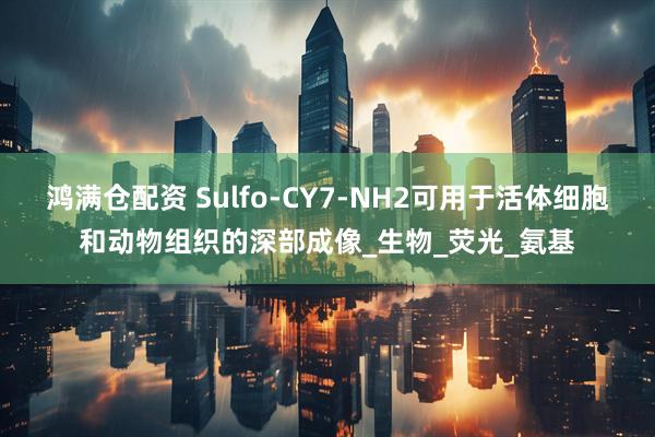 鸿满仓配资 Sulfo-CY7-NH2可用于活体细胞和动物组织的深部成像_生物_荧光_氨基