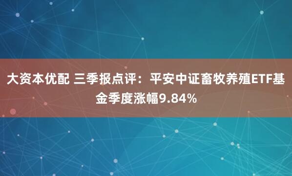 大资本优配 三季报点评：平安中证畜牧养殖ETF基金季度涨幅9.84%